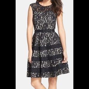 Eliza J Lace Fit and Flare Dress NEW